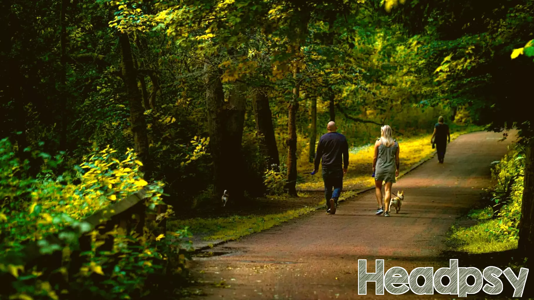 A Unique Approach to Medical Challenges: Walking for Solutions