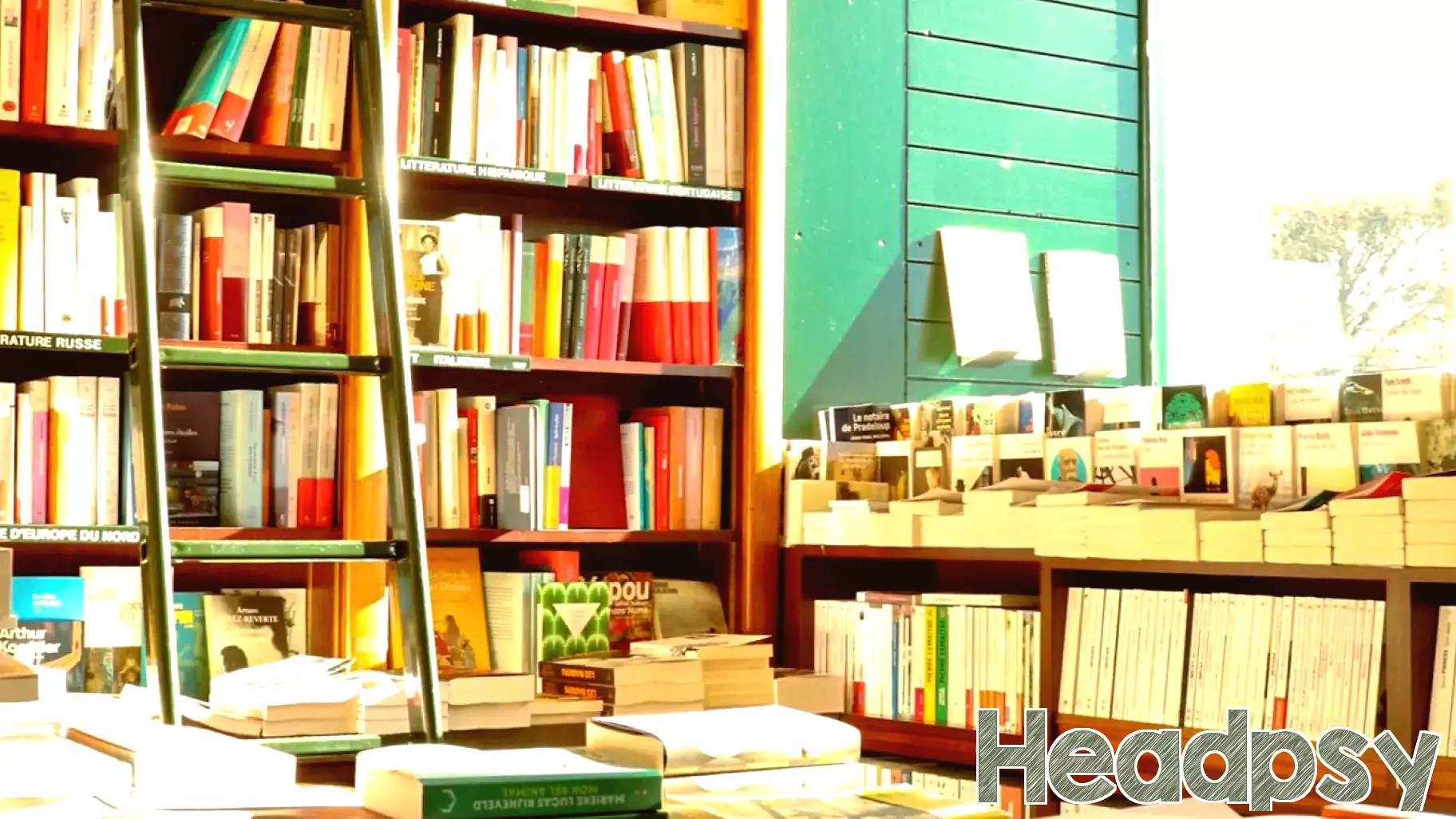 Effective Promotion Strategies for Launching a New Book