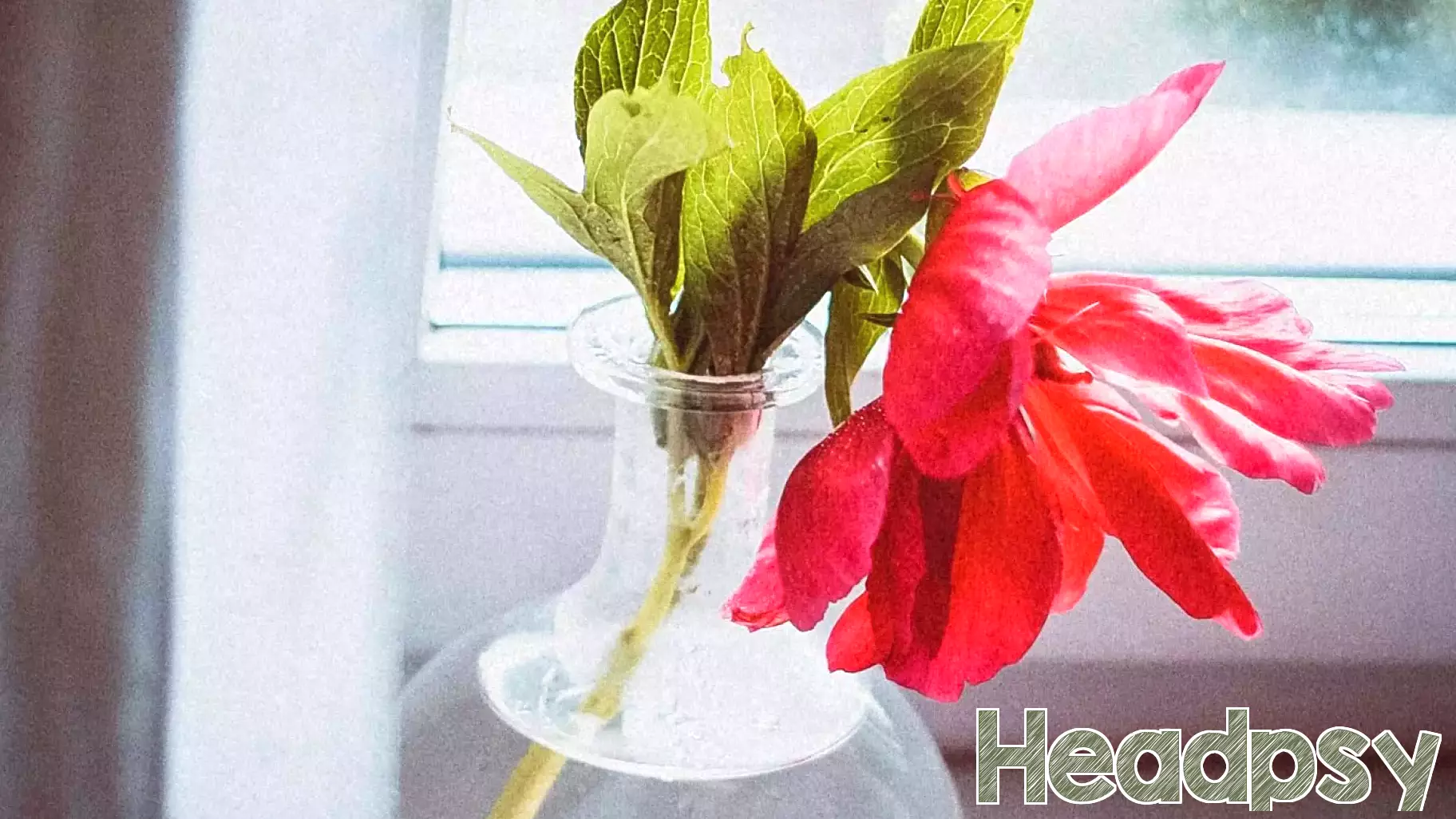 Finding Unexpected Fulfillment in a Fading Field