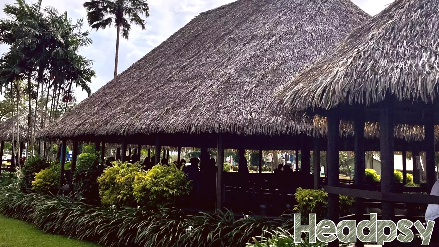 Harnessing Grassroots Narratives to Spark Innovative Growth