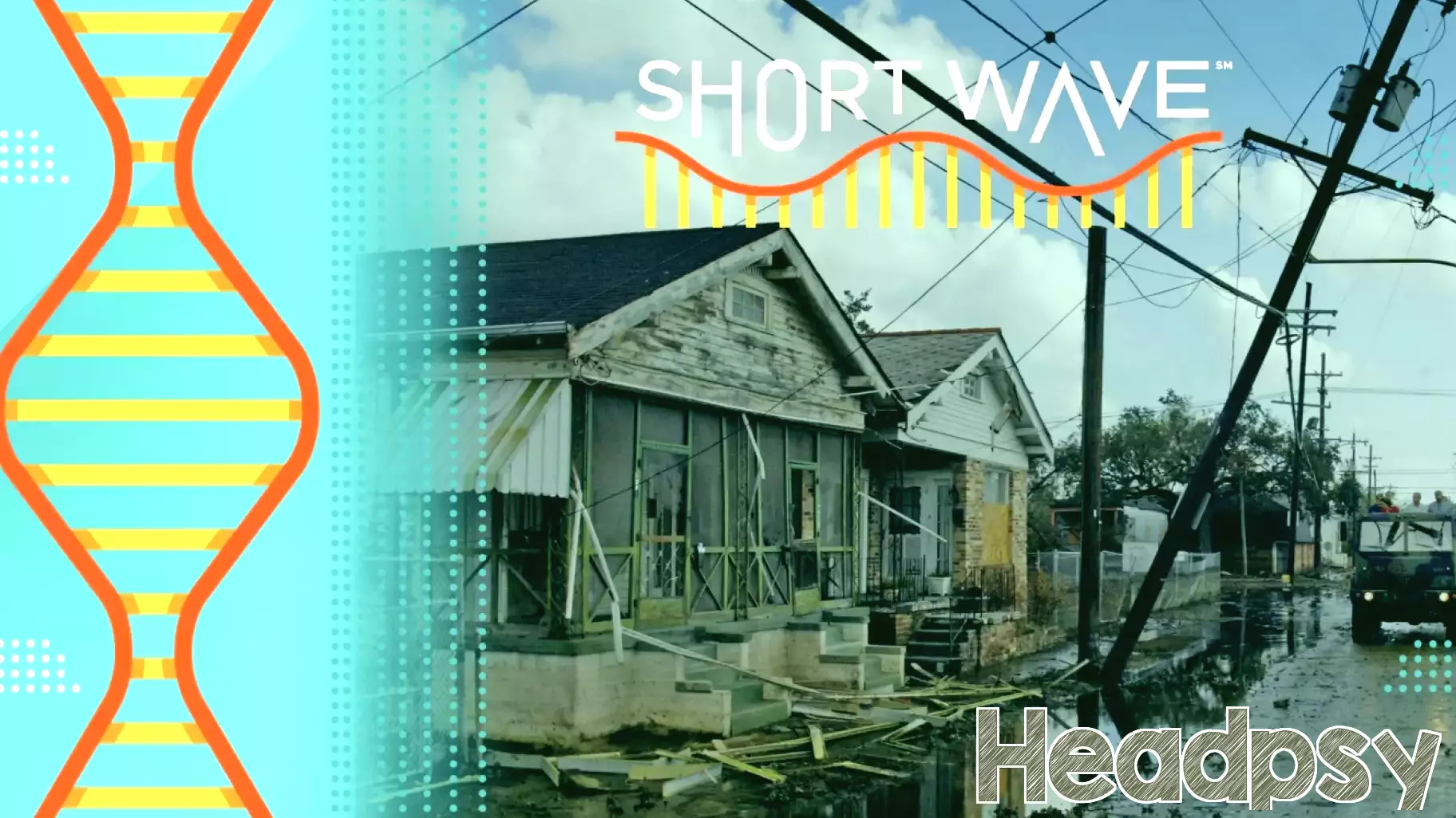 Lessons in Resilience: Insights from 20 Years of Hurricane Katrina Survivors