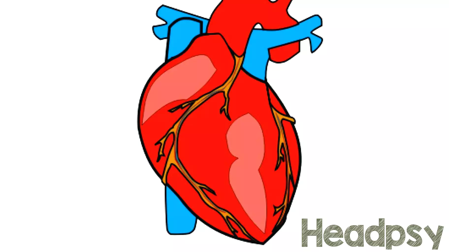 Redefining Death: A Controversial Approach to Organ Donation