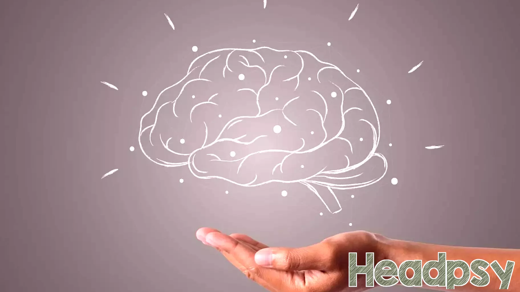 Study Finds the Human Brain May Function as Two Separate Organs