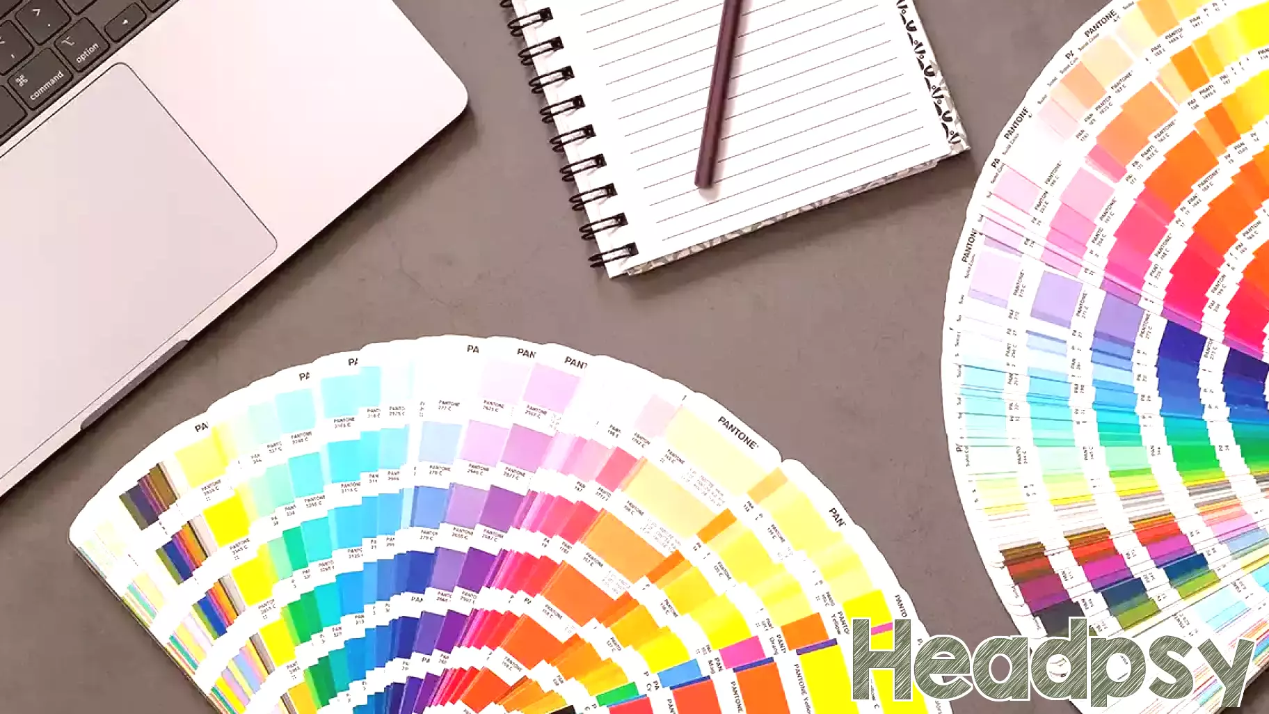 The Impact of Color on Dining: Insights from Pantone