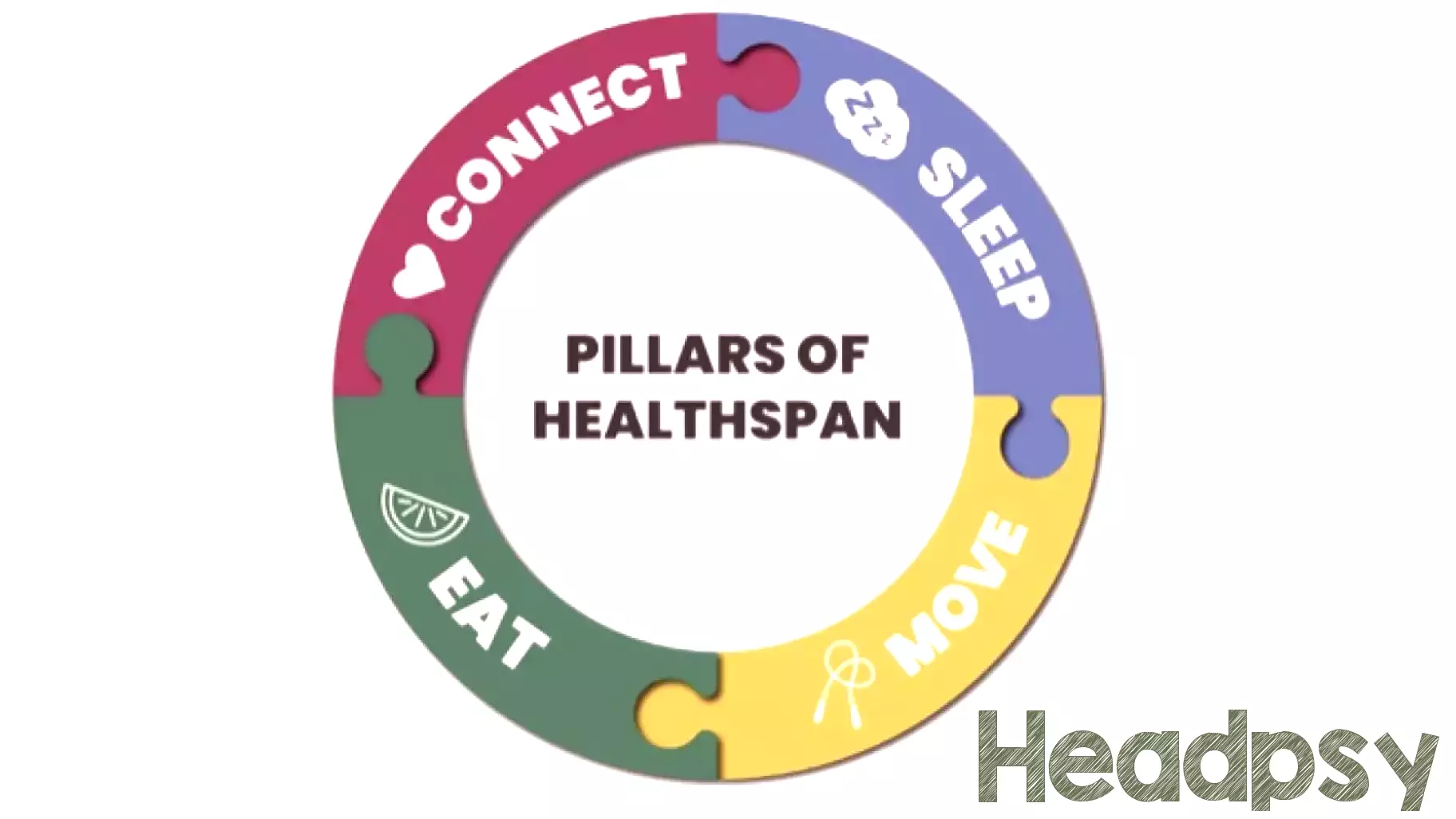The Importance of Healthspan Medicine