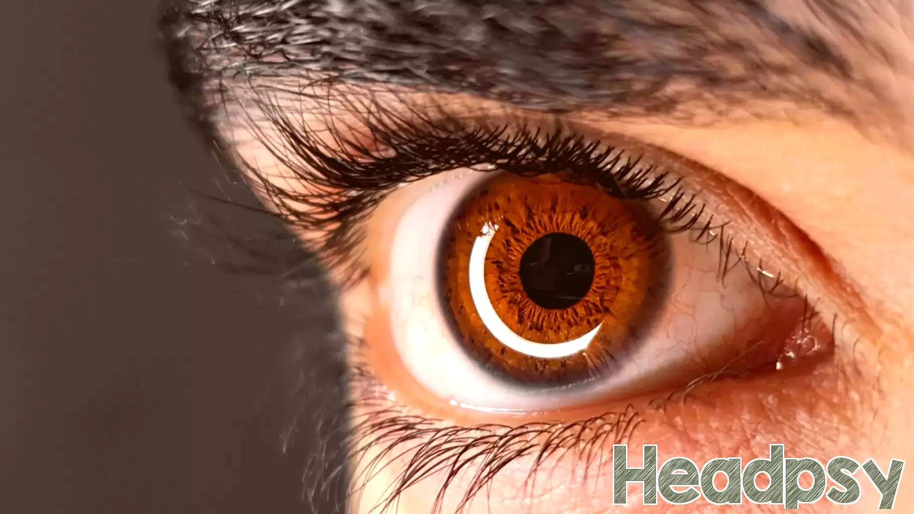 Why Power-Blindness Is the Ultimate Leadership Failure