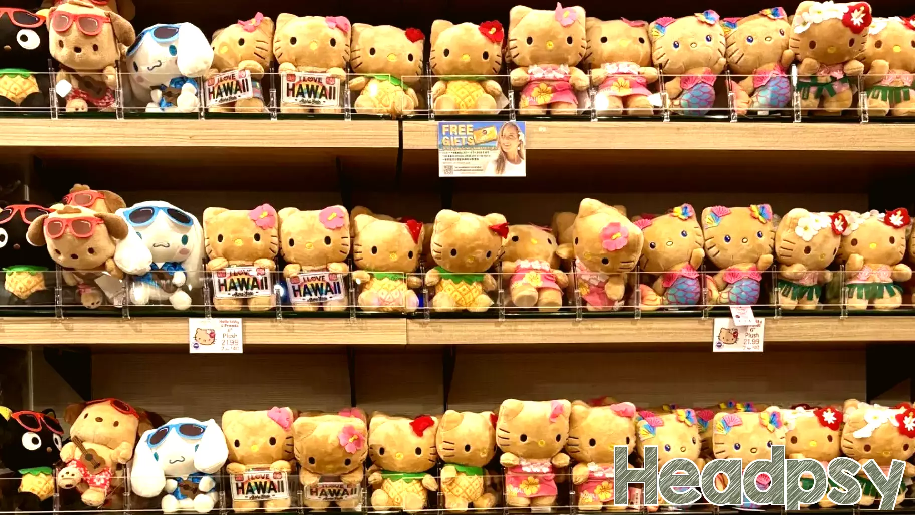 Why Travelers Are Drawn to Hawaii-Exclusive Hello Kitty Plushies