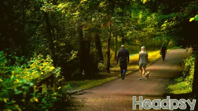 A Unique Approach to Medical Challenges: Walking for Solutions