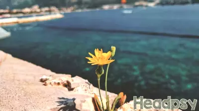 Addressing Mental Health Stigma in the Workplace