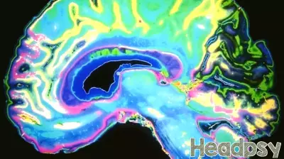 Brain Reward Response Tied to Resilience After Trauma