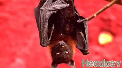 Escape the Constraints of Your Own Perception