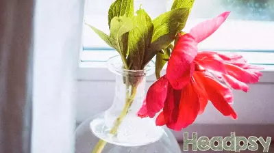 Finding Unexpected Fulfillment in a Fading Field