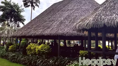 Harnessing Grassroots Narratives to Spark Innovative Growth