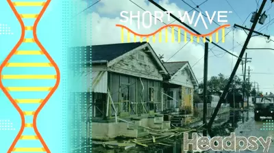 Lessons in Resilience: Insights from 20 Years of Hurricane Katrina Survivors