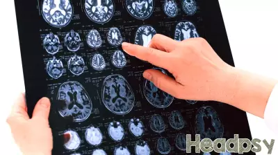 Let's Ask Brains What ADHD Looks Like