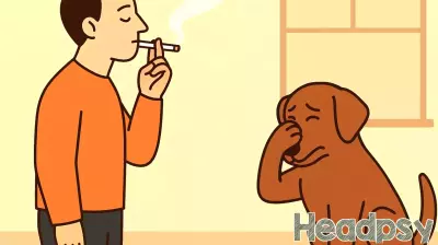 The Hidden Dangers of Secondhand Smoke for Dogs