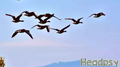 The Hidden Strength Found in Shared Endeavors